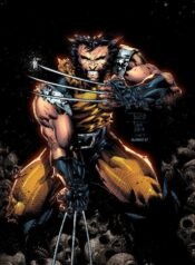 Wolverine